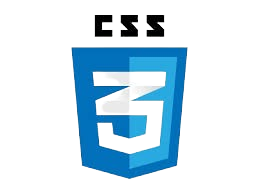 CSS icon